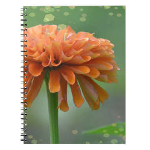 Caderno Espiral Notebook Zazzled Zinnia