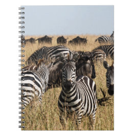 Caderno Espiral Notebook Zebra de Grant