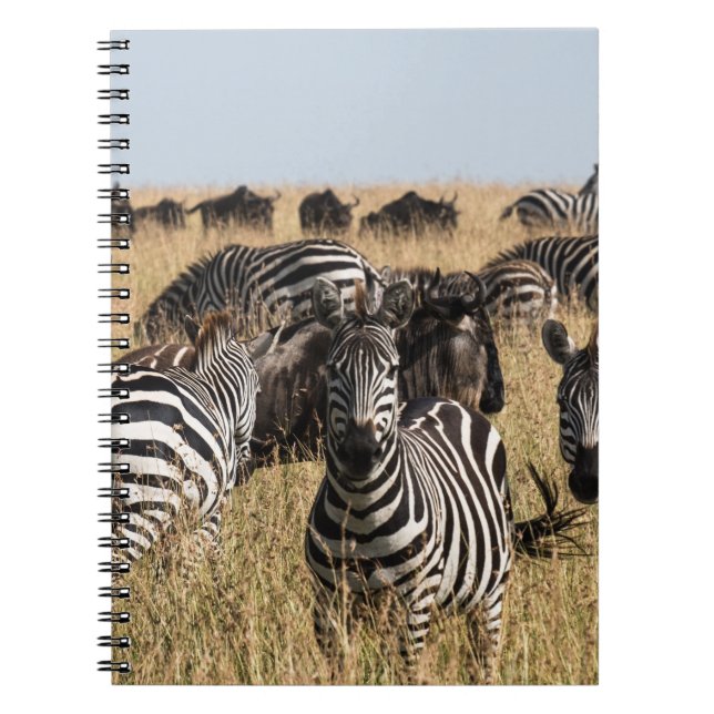 Caderno Espiral Notebook Zebra de Grant (Frente)