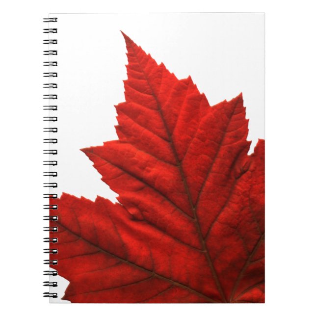 Caderno Espiral Notebooks Diário Souvenir Canadá Sketchpad (Frente)