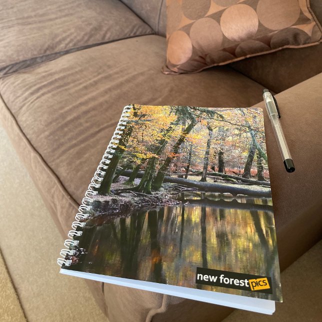 Caderno Espiral Nova Floresta (Criador carregado)