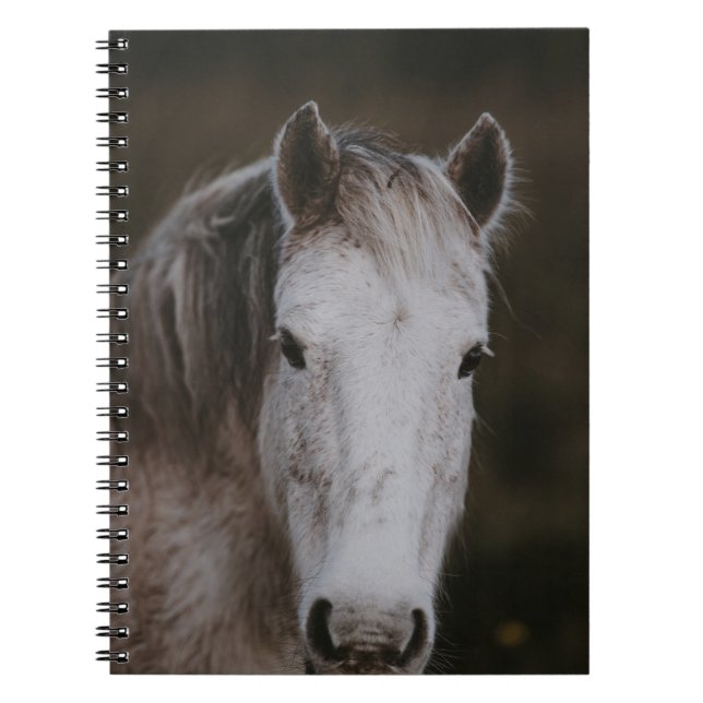 CADERNO ESPIRAL NOVA FLORESTA PONY (Frente)