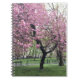 Caderno Espiral Nova Iorque de árvore de flores cor-de-rosa bonito (Frente)