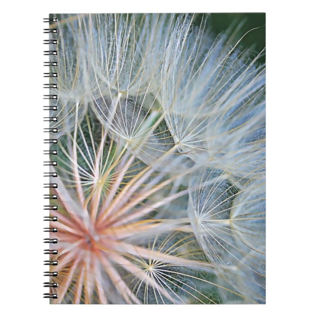 Caderno Espiral Novos Desejos (Frente)