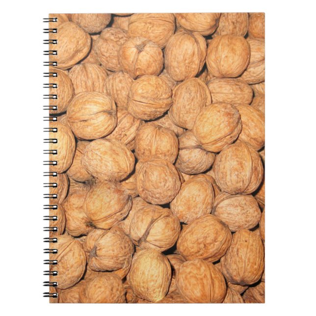 Caderno Espiral Nozes de nogueira (Frente)
