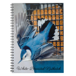 Caderno Espiral Nuthatch Branca em Neve - Foto original N