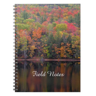 Caderno Espiral O Autumn Deixa Cena de Cores de Cores de Cores Esp