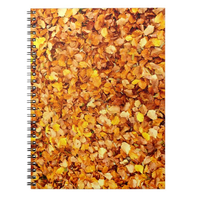 Caderno Espiral O Autumn Deixa Foto (Frente)