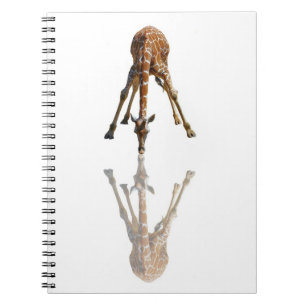 CADERNO ESPIRAL O BEIJO