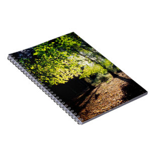 Caderno Espiral O bosque na Primavera