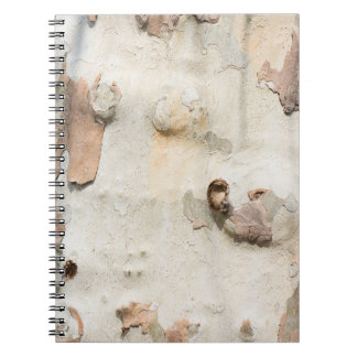 Caderno Espiral O camuflado de plátano parece um padrão de casca