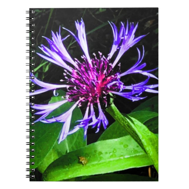 Caderno Espiral O Cardo     (Frente)