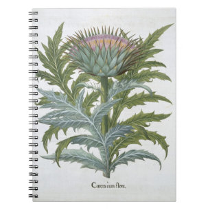 Caderno Espiral O cardo, do "Hortus Eystettensis" por Bas