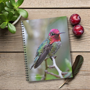 Caderno Espiral O colibri impressionante de Anna masculina na