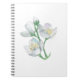 Caderno Espiral O companheiro perfeito: o melhor notebook para tod