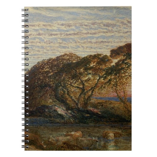 Caderno Espiral O córrego sombrio (Frente)