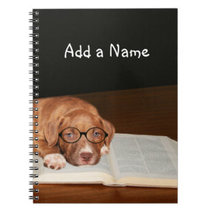 Caderno Espiral O filhote de cachorro de Pitbull lê