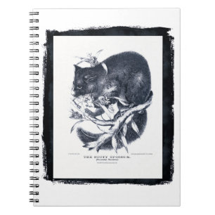 Caderno Espiral O gambá da Sooty