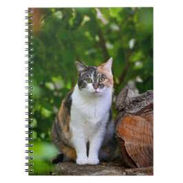 Caderno Espiral O Gato   