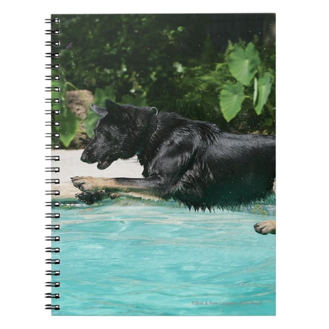 Caderno Espiral O german shepherd que salta na água (Frente)