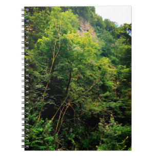 Caderno Espiral O lado das árvores