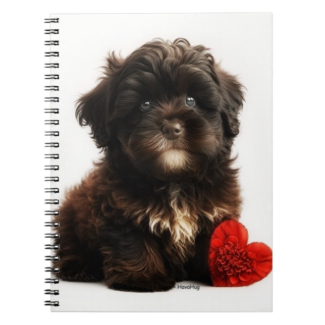 Caderno Espiral O Namorados mais quente, Chocolate Havanese (Frente)