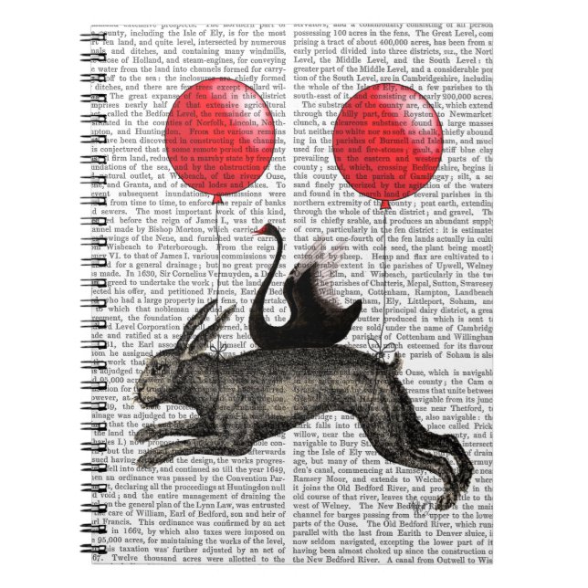 Caderno Espiral O navio de lebre (Frente)