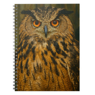 Caderno Espiral O Observador - Eurasian Eagle-Owl na Luz do Woodla