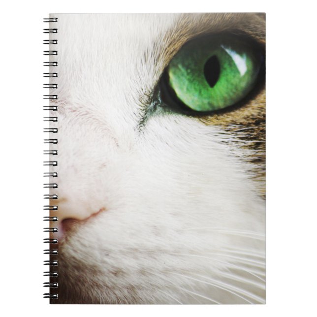 Caderno Espiral O olho de gato (Frente)