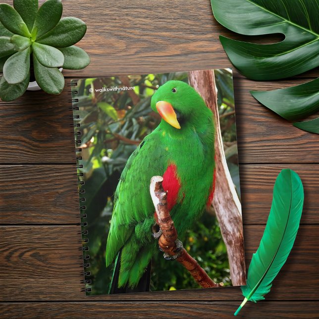Caderno Espiral O Orador Verde Eclectus Parrot (The Green Orator Eclectus Parrot Journal Cover Photo)