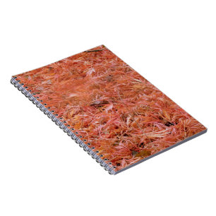 Caderno Espiral O outono vermelho deixa o bloco de notas