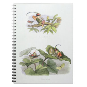 Caderno Espiral O passarinho pequeno pobre amolado, e o corte