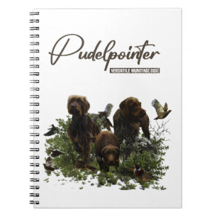 Caderno Espiral O Ponteiro