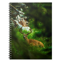 Caderno Espiral O Príncipe da Floresta