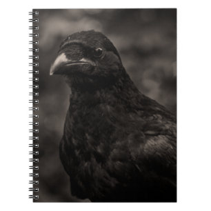 Caderno Espiral O Requerente