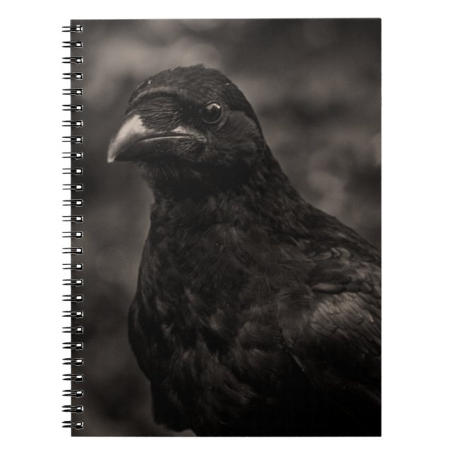 Caderno Espiral O Requerente (Frente)