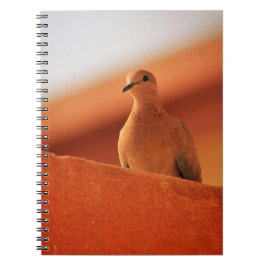 Caderno Espiral O rosto da determinação