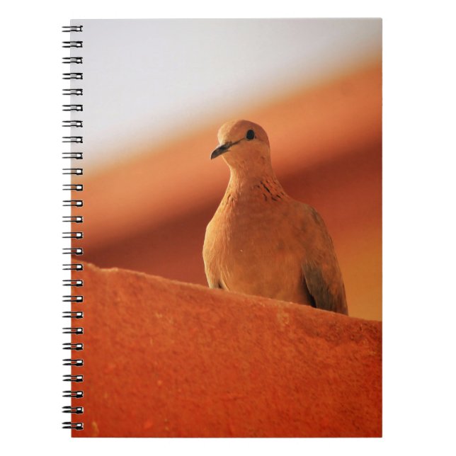 Caderno Espiral O rosto da determinação (Frente)