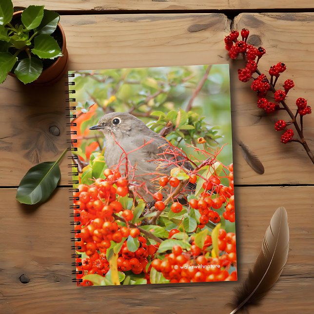 Caderno Espiral O Solitário de Townsend no Pyracantha (Townsend's Solitaire on the Pyracantha Shrub Journal Cover Photo)