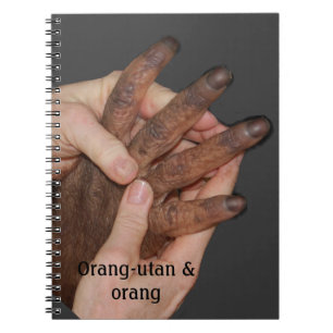 Caderno Espiral O Special entrega o orangotango