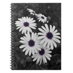 Caderno Espiral O Sutil Contraste da Natureza