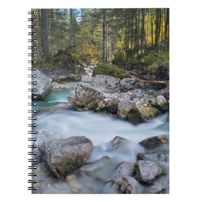 Caderno Espiral O torrent Ramsauer Ache (Frente)