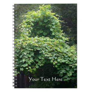 Caderno Espiral O Trono da Natureza