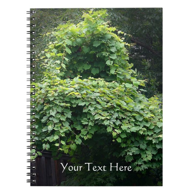 Caderno Espiral O Trono da Natureza (Frente)