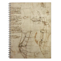 Objecto do vôo de da Vinci