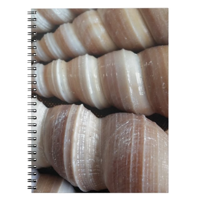 Caderno Espiral Oblong Summer Seasheles, Estação de Verão (Frente)