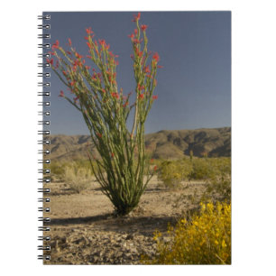 Caderno Espiral Ocotillo e Desert Senna