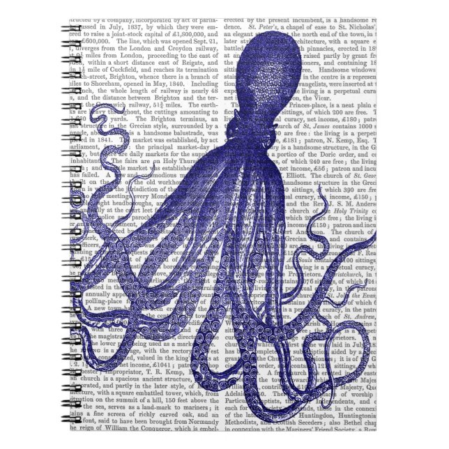 Caderno Espiral Octopus Azul 5 (Frente)