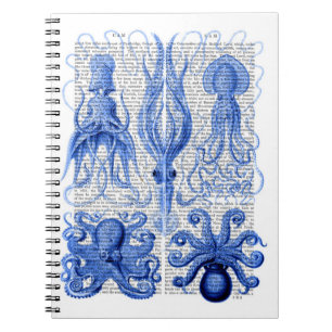 Caderno Espiral Octopus e Azul Quadrado