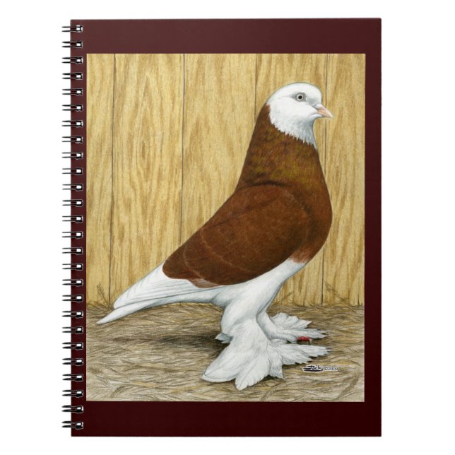 Caderno Espiral Oeste da Inglaterra Tumbler Red Baldhead (Frente)